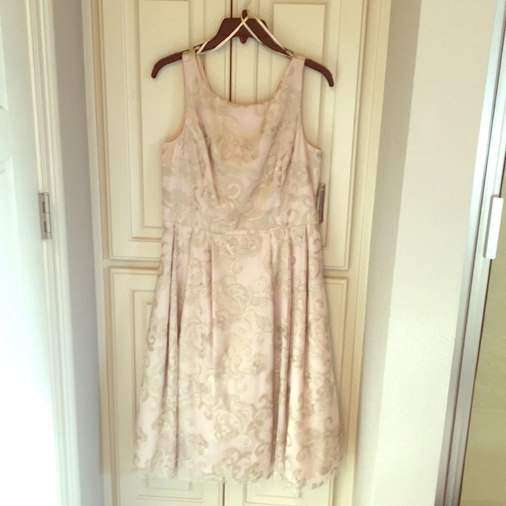 Women’s Size 10P Jessica Howard Champagne Dress
